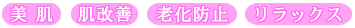 �����E�����P�E�V���h�~�E�����b�N�X